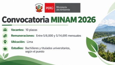 Convocatoria MINAM 2026