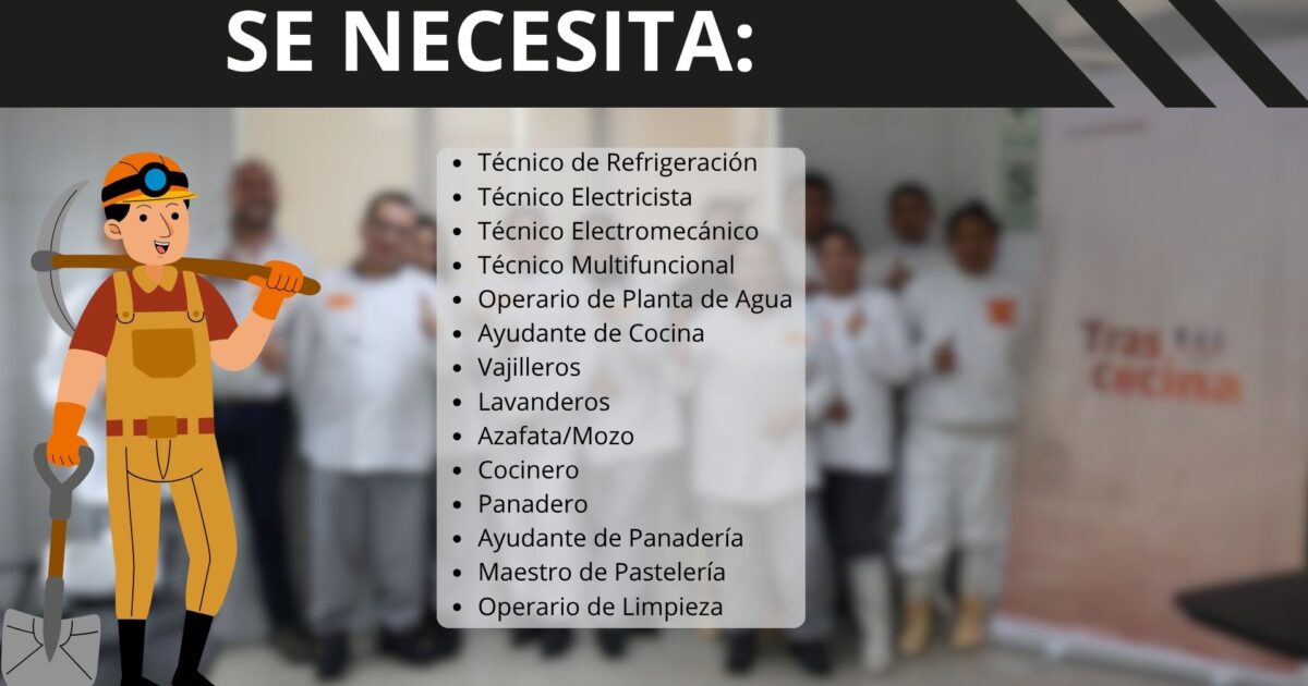 Newrest busca técnicos
