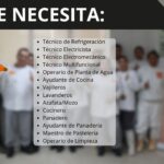 Newrest busca técnicos