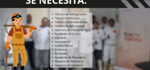 Newrest busca técnicos