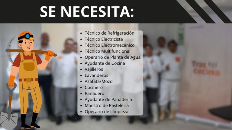 Newrest busca técnicos