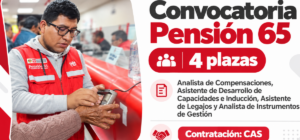 Convocatoria Pensión 65